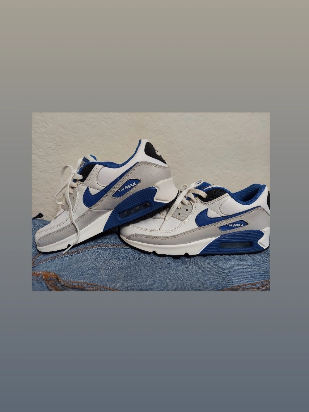 Nike Air Max White & Royal Blue Sneakers